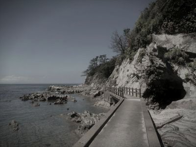 荒崎海岸 (神奈川県横須賀市の水辺)