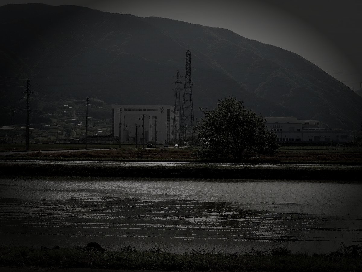 池田町廃農村跡の怪異のイメージ（モザイク処理済み）