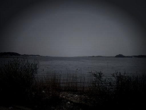 霞ケ浦（廃船場周辺）のイメージ（モザイク処理済み）