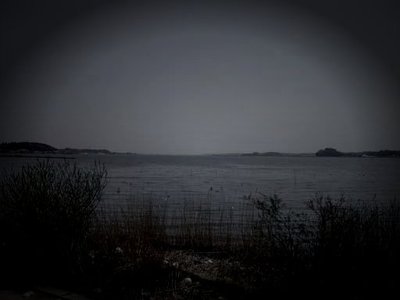 霞ケ浦（廃船場周辺）