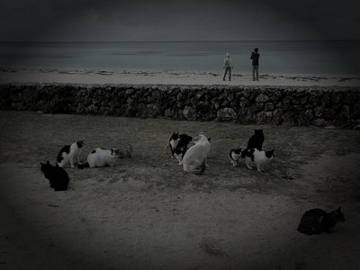 八重山郡竹富町の廃農村