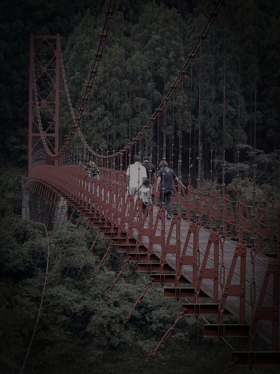 有田川町廃農村の怪火のイメージ（モザイク処理済み）