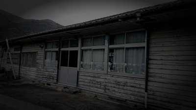 対馬市の旧廃農村