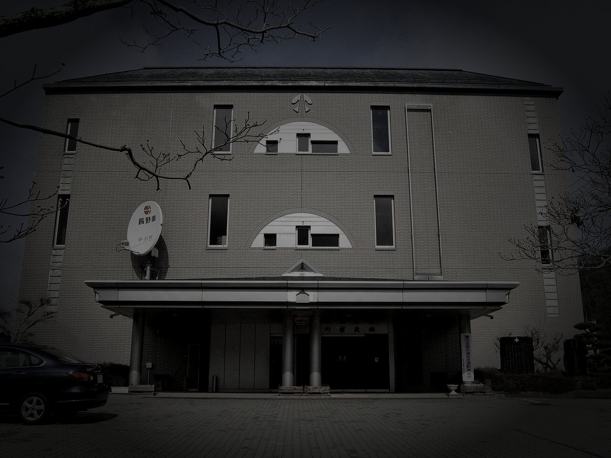 小川村廃農村の山霊のイメージ（モザイク処理済み）