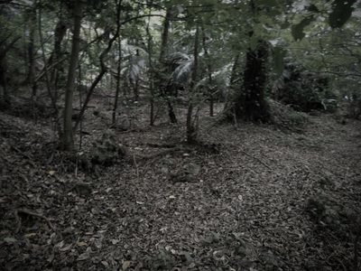 大山貝塚 (沖縄県宜野湾市の神域・霊場)