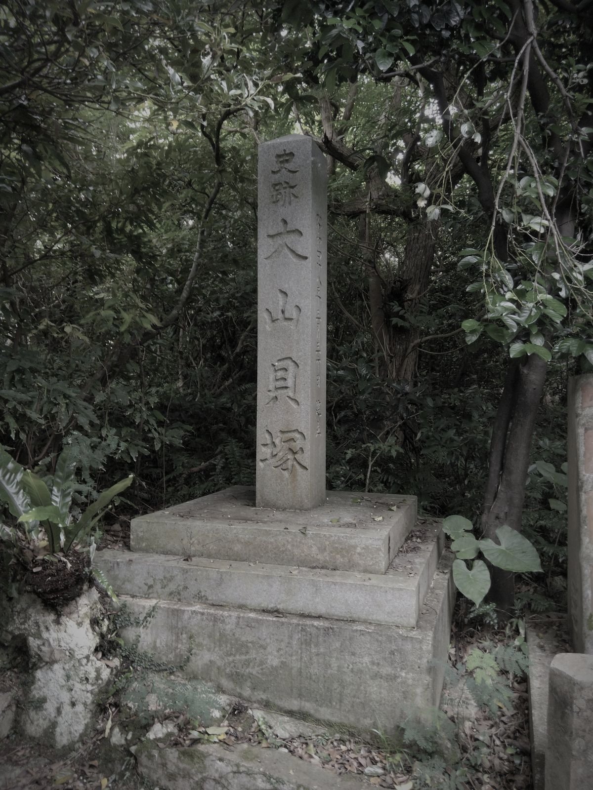 大山貝塚のイメージ 4 / 4（モザイク処理済み）