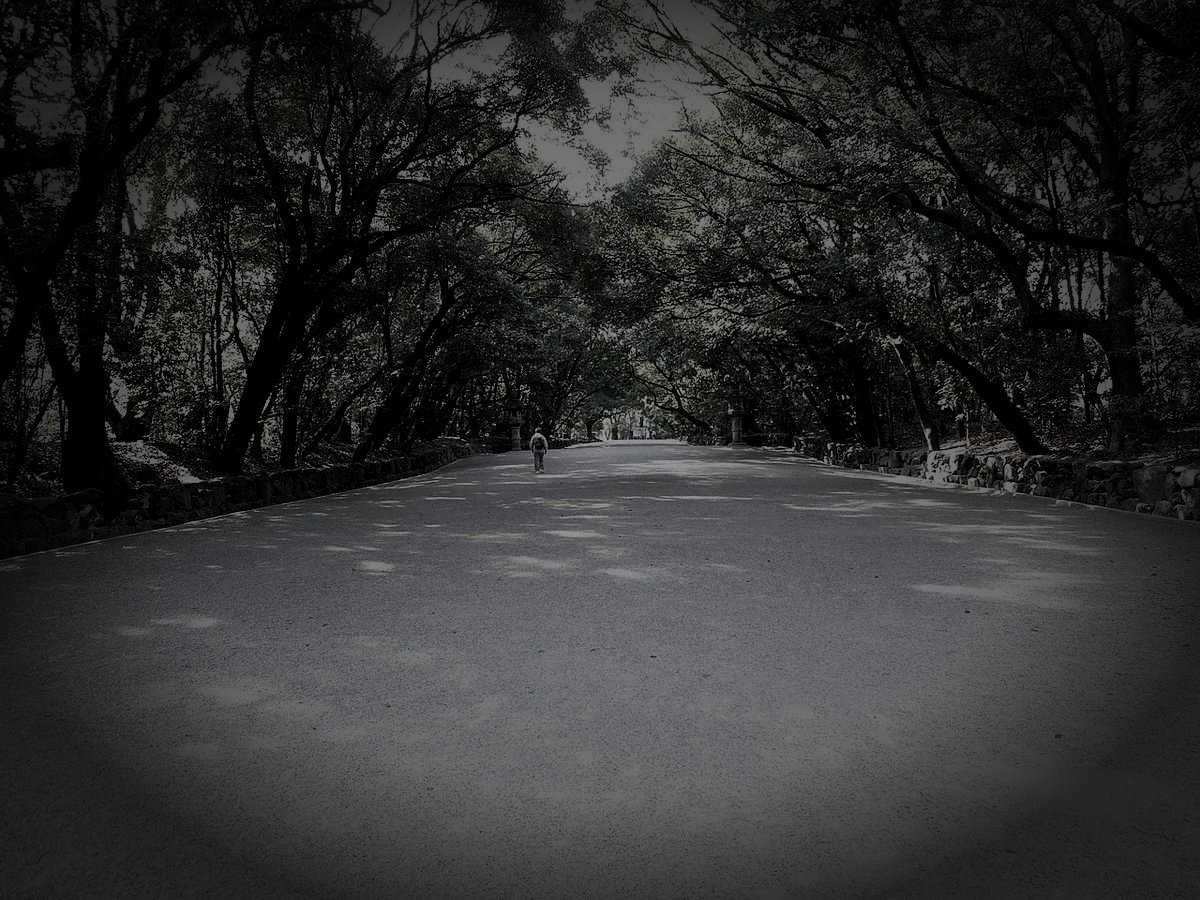 熱田神宮の杜のイメージ（モザイク処理済み）