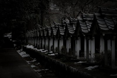 大野町廃農村の怪火