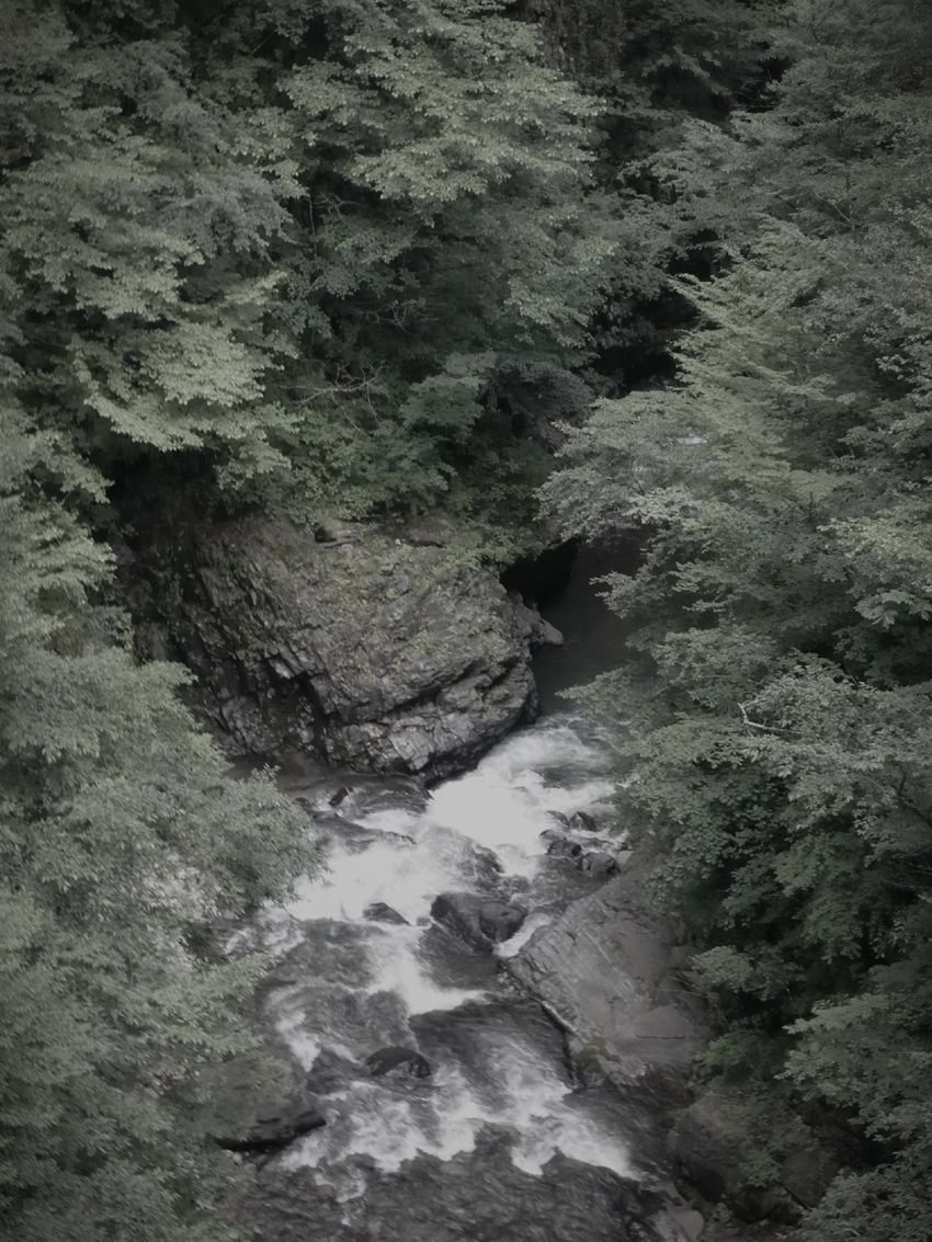 花魁淵のイメージ（モザイク処理済み）