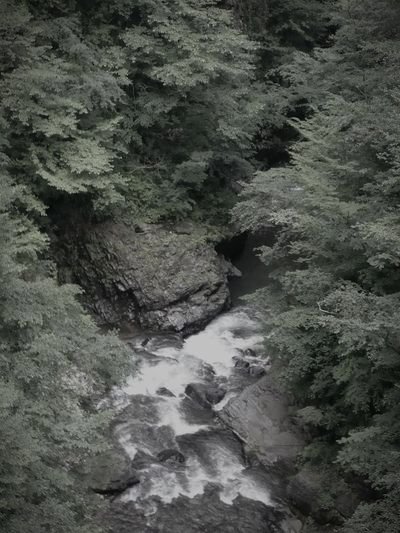 花魁淵