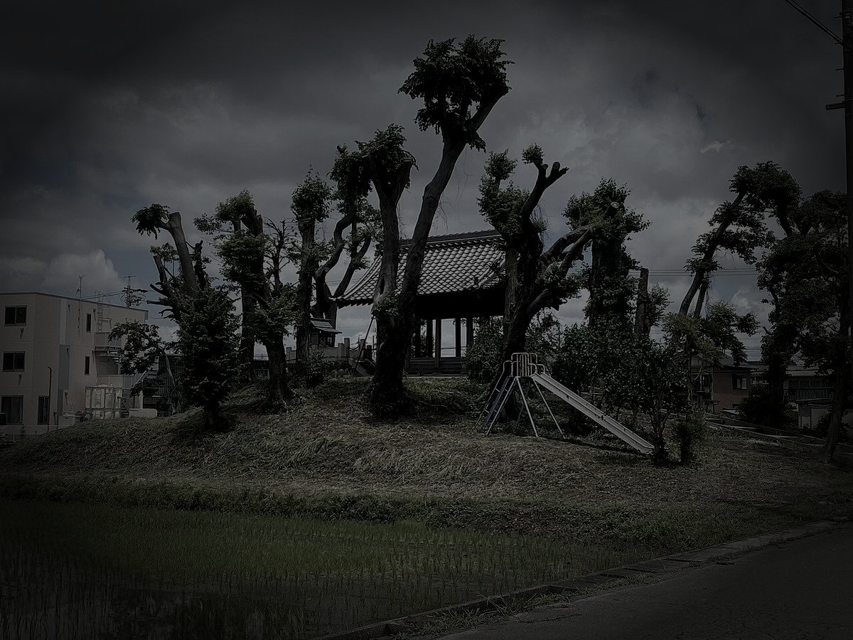 北名古屋市廃農村跡の怪異のイメージ（モザイク処理済み）
