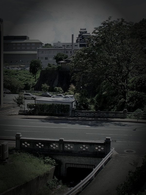 玉名市の旧廃農場のイメージ（モザイク処理済み）