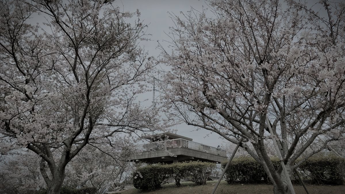 竜王山公園のイメージ 2 / 2（モザイク処理済み）