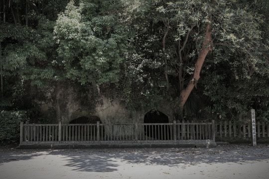 西郷洞窟周辺(鹿児島市)のイメージ(モザイク処理済み)