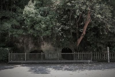 西郷洞窟周辺（鹿児島市） (鹿児島県鹿児島市の公園・城址)