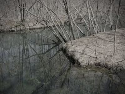 宮代町旧沼地の水没霊 (埼玉県宮代町の山道・峠)