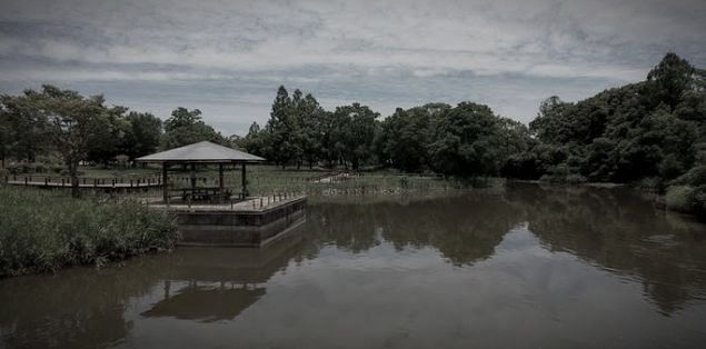 佐賀県立森林公園(千人塚)のイメージ(モザイク処理済み)