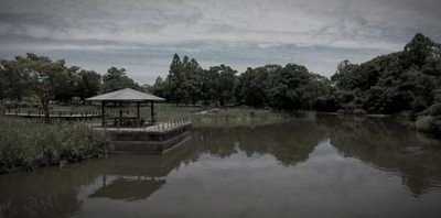 佐賀県立森林公園（千人塚） (佐賀県佐賀市の公園・城址)