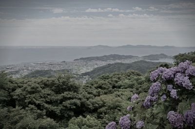 三ヶ根山スカイライン