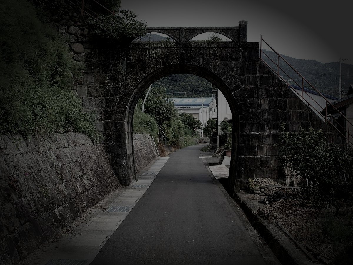 安芸郡奈半利町の廃農家のイメージ（モザイク処理済み）