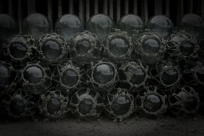 南越前廃道の赤い目