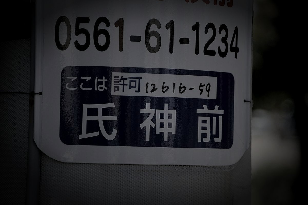 長久手市廃農村の怪火のイメージ（モザイク処理済み）