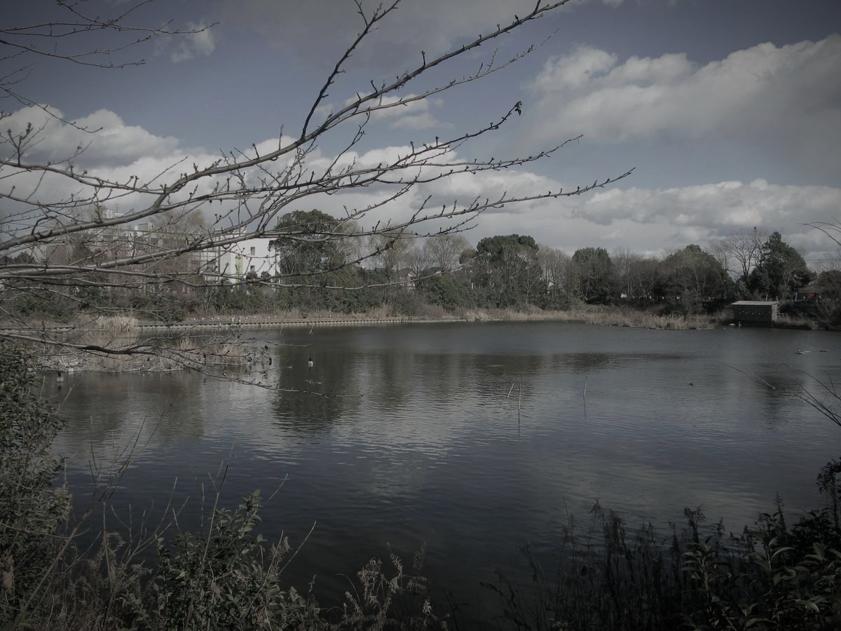 沼井公園（ぬまいこうえん）のイメージ（モザイク処理済み）