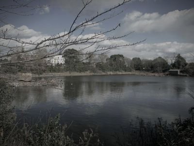 沼井公園（ぬまいこうえん）