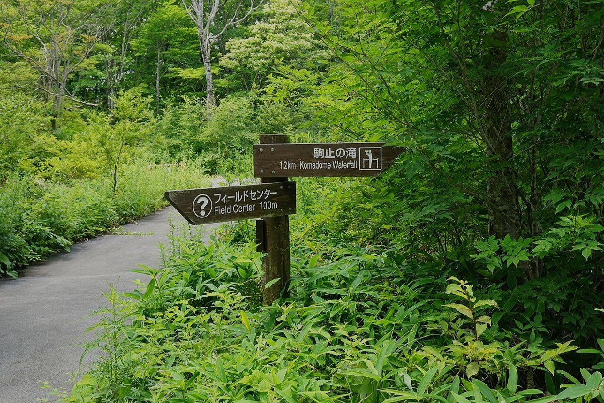 平成の森公園のイメージ（モザイク処理済み）