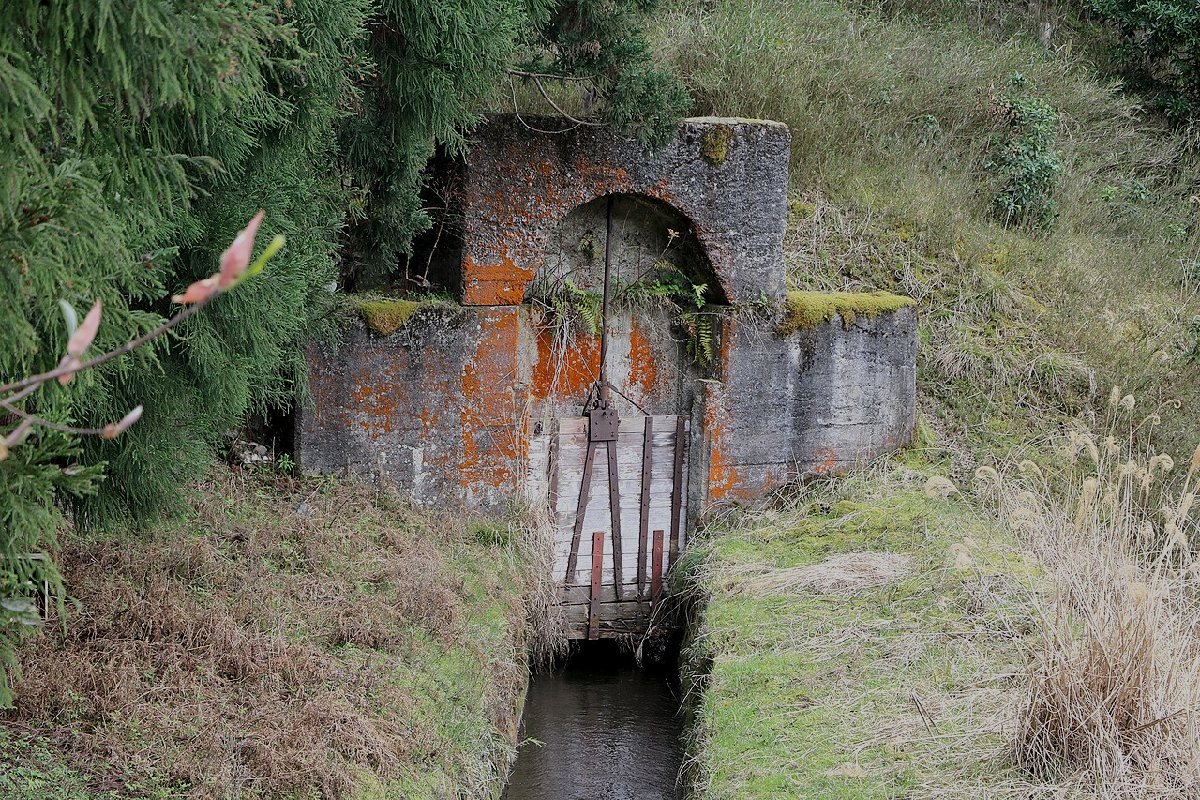 日吉隧道のイメージ（モザイク処理済み）