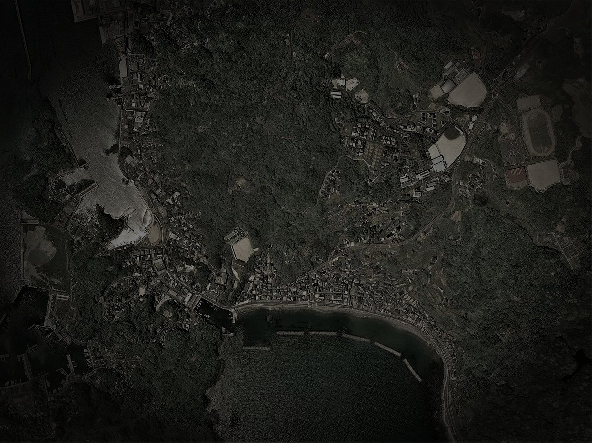 西海市の旧廃漁村のイメージ（モザイク処理済み）