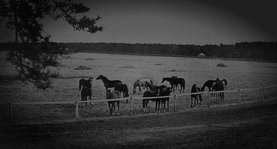 旧三里塚御料牧場廃墟