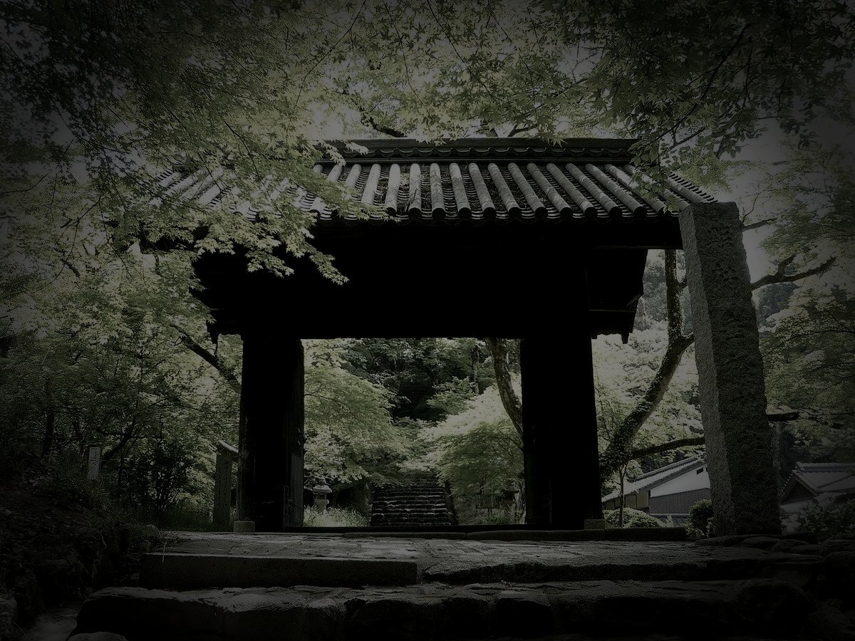 朝倉市の旧廃農場のイメージ（モザイク処理済み）