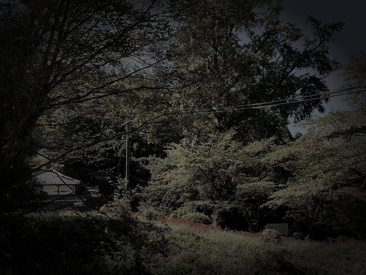 美浜町廃農村の道祖神の祟りのイメージ（モザイク処理済み）