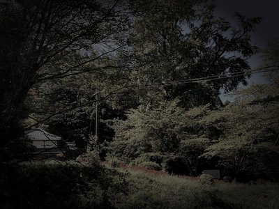 美浜町廃農村の道祖神の祟り