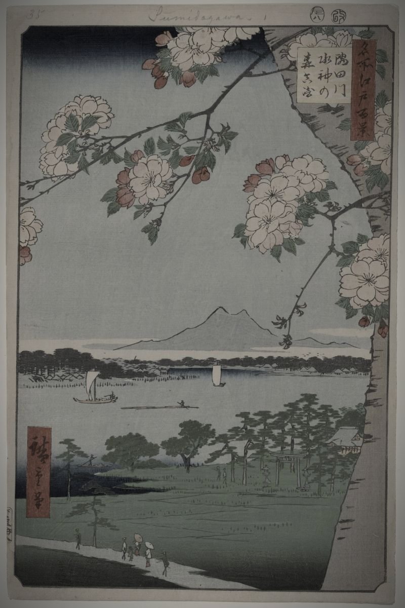 筑波山・女体山頂のイメージ(モザイク処理済み)