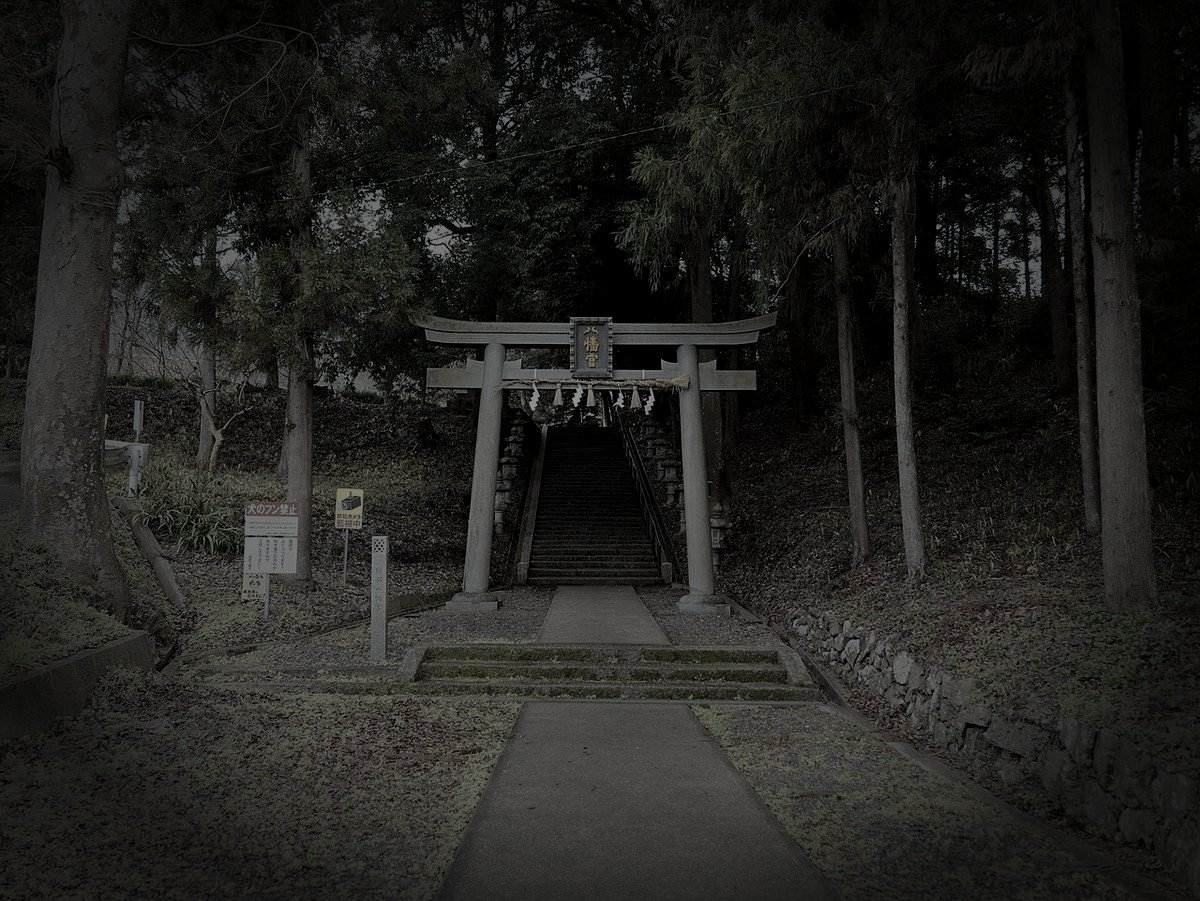 綾部市廃農村の山霊のイメージ（モザイク処理済み）