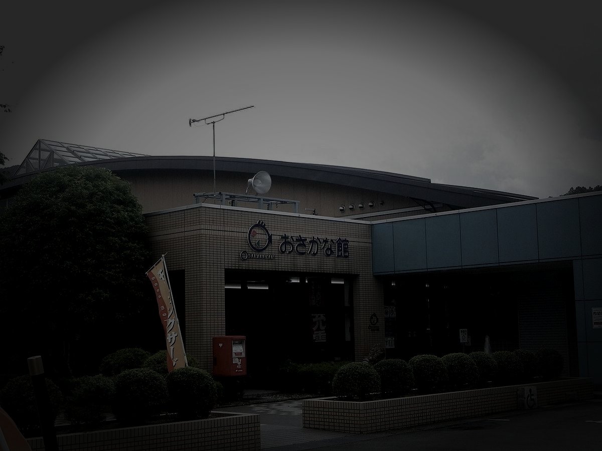 北宇和郡松野町の廃集落のイメージ（モザイク処理済み）