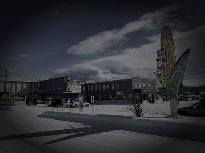 訓子府の旧廃農場