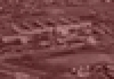 巣鴨プリズン跡地