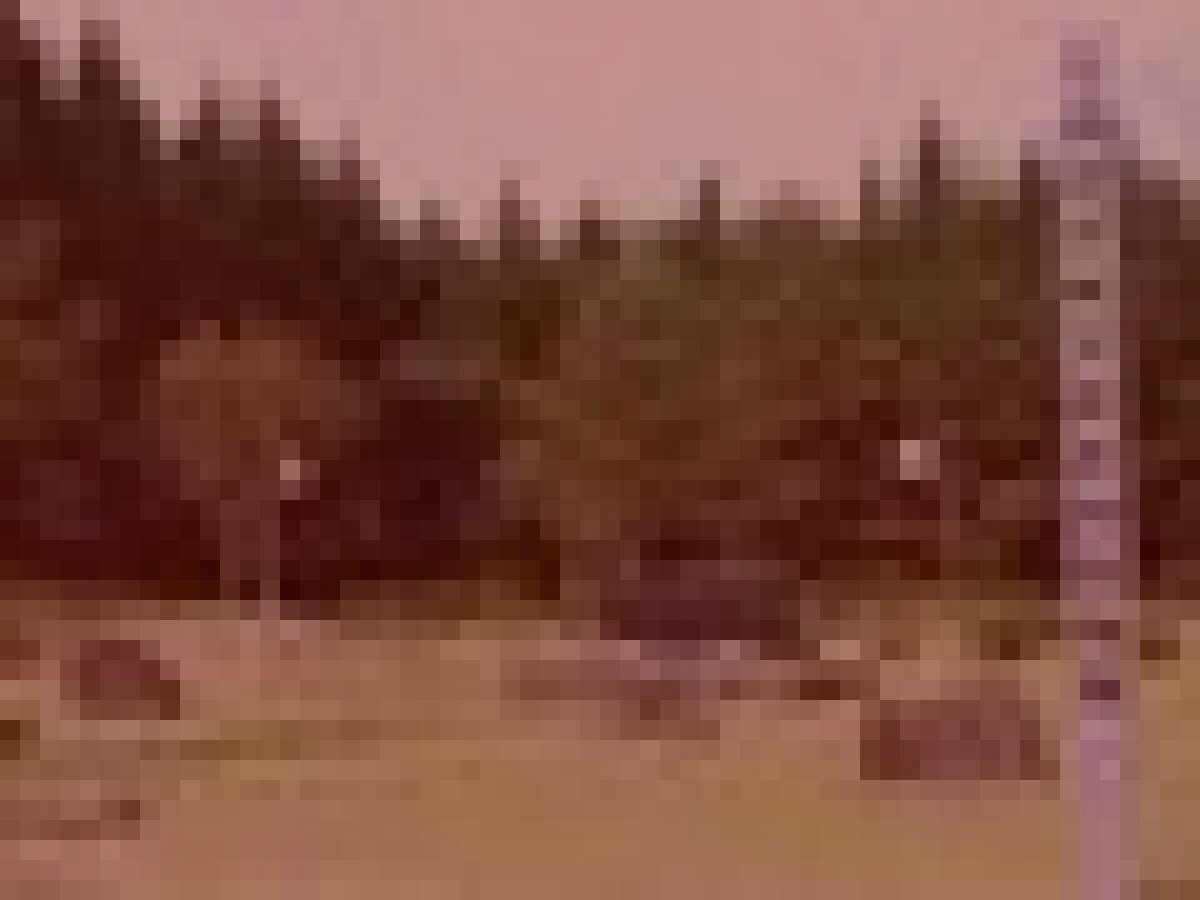 ひたちなか市旧海軍航空隊基地跡のイメージ（モザイク処理済み）