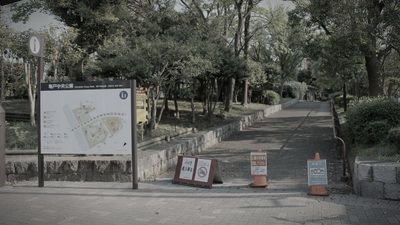 亀戸中央公園 (東京都江東区の公園・城址)