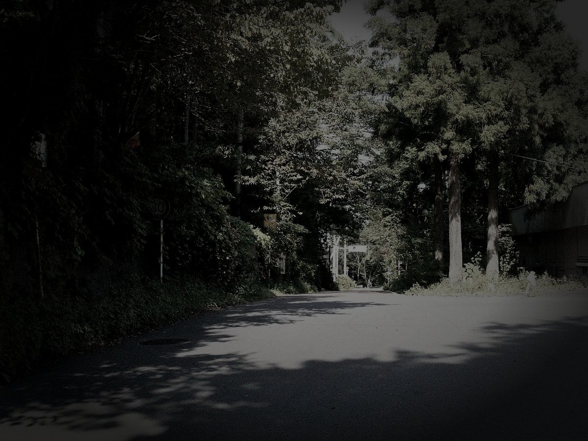 定峰峠のイメージ（モザイク処理済み）