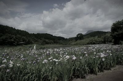神楽女湖