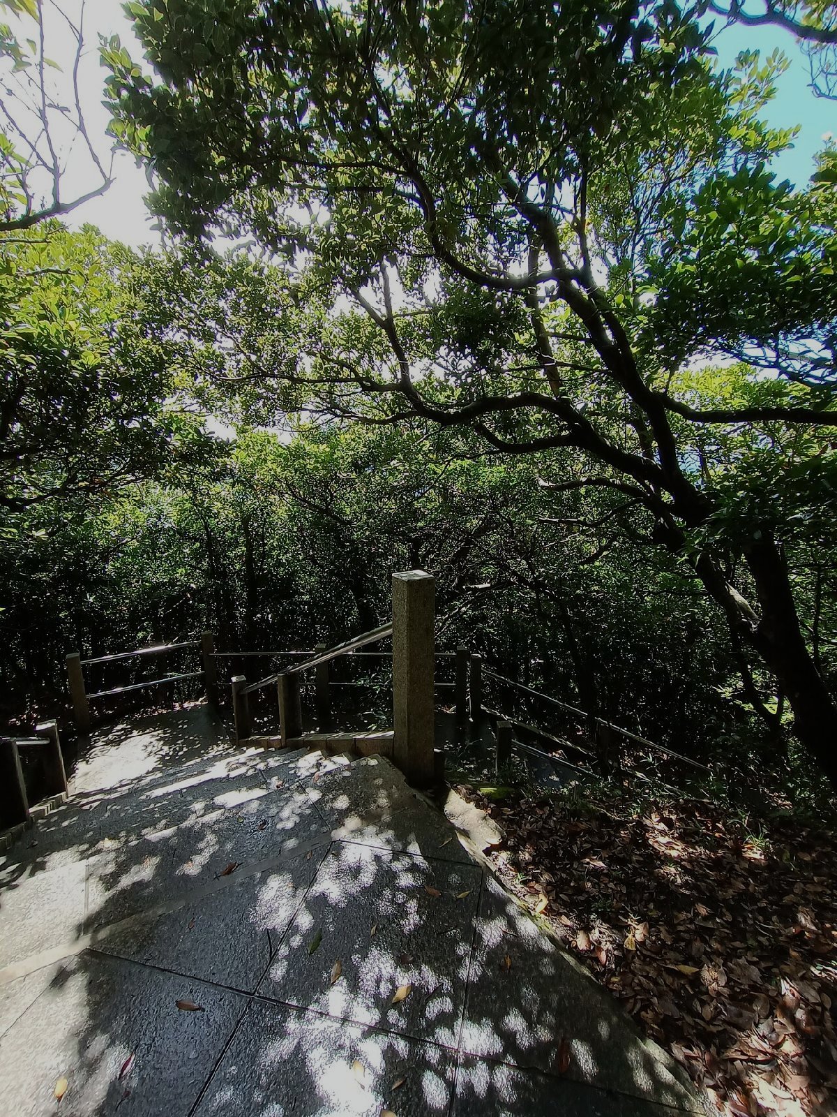 鋸山のイメージ（モザイク処理済み）