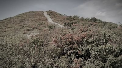 御霊櫃峠（ごれいびつとうげ） (福島県郡山市の山道・峠)