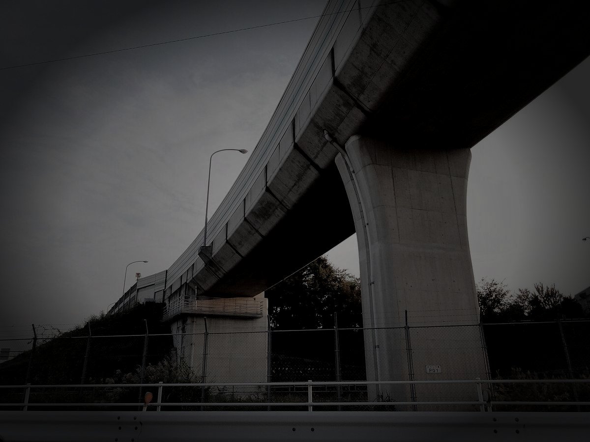 一宮市廃紡績工場のイメージ（モザイク処理済み）