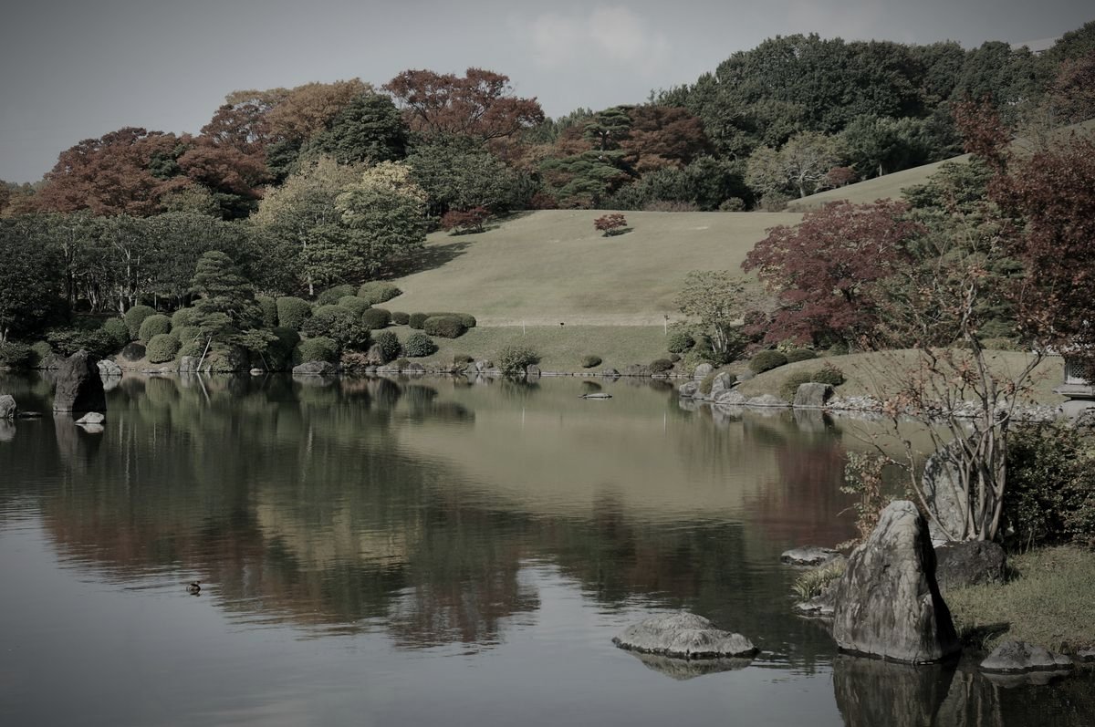万博記念公園のイメージ（モザイク処理済み）