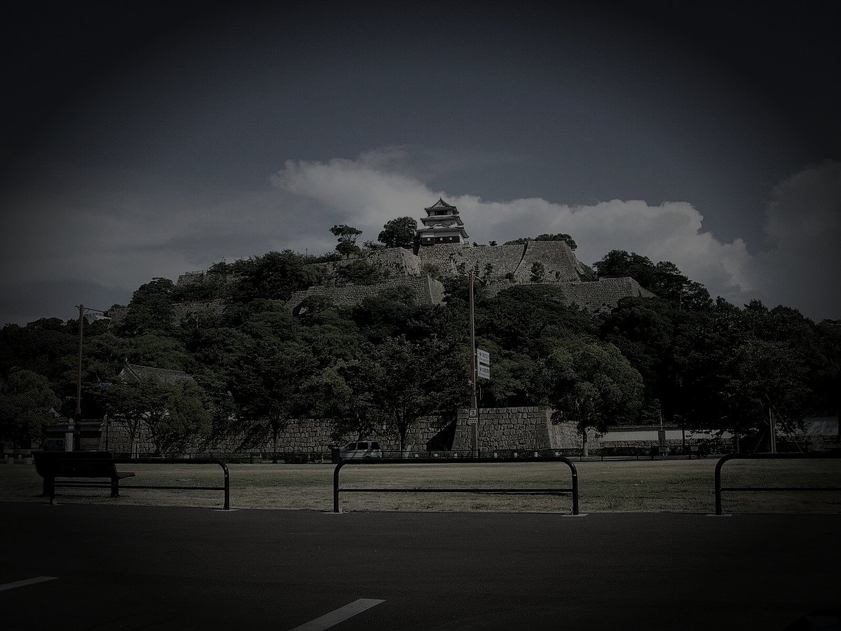 丸亀城廃家老屋敷跡のイメージ（モザイク処理済み）