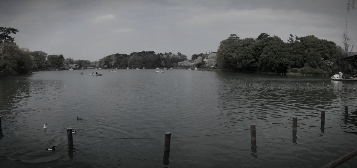洗足池公園のイメージ 1 / 4(モザイク処理済み)